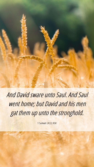 Picture 06 - 1 Samuel 24:22 ASV Mobile Phone Wallpaper - And David sware unto Saul. And Saul went home; - Mobile Bible Verse Wallpaper