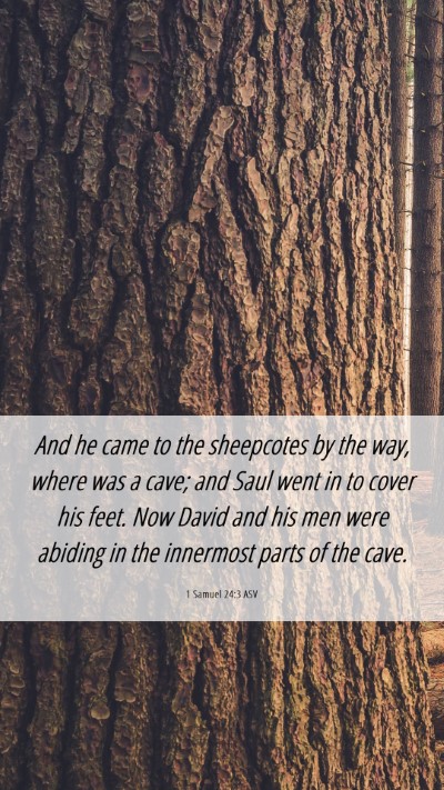 Picture 06 - 1 Samuel 24:3 ASV Mobile Phone Wallpaper - And he came to the sheepcotes by the way, where - Mobile Bible Verse Wallpaper