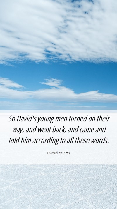 Picture 06 - 1 Samuel 25:12 ASV Mobile Phone Wallpaper - So David's young men turned on their way, and - Mobile Bible Verse Wallpaper