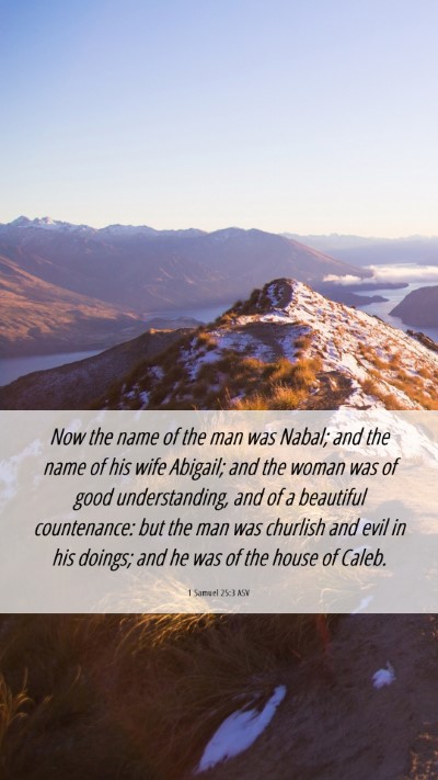 Picture 06 - 1 Samuel 25:3 ASV Mobile Phone Wallpaper - Now the name of the man was Nabal; and the name - Mobile Bible Verse Wallpaper
