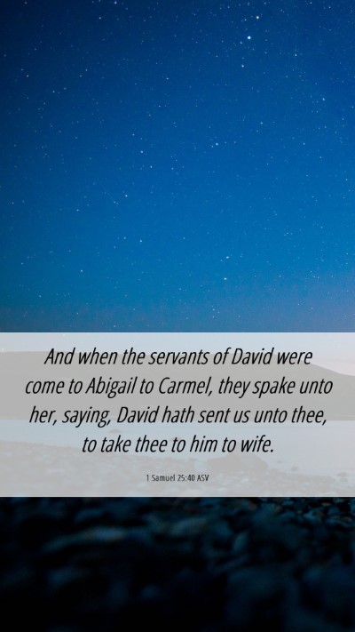 Picture 06 - 1 Samuel 25:40 ASV Mobile Phone Wallpaper - And when the servants of David were come to - Mobile Bible Verse Wallpaper