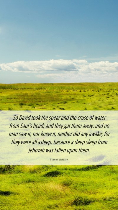 Picture 06 - 1 Samuel 26:12 ASV Mobile Phone Wallpaper - So David took the spear and the cruse of water - Mobile Bible Verse Wallpaper