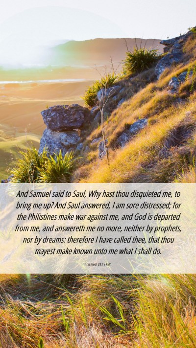 Picture 06 - 1 Samuel 28:15 ASV Mobile Phone Wallpaper - And Samuel said to Saul, Why hast thou disquieted - Mobile Bible Verse Wallpaper