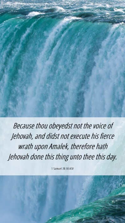 Picture 06 - 1 Samuel 28:18 ASV Mobile Phone Wallpaper - Because thou obeyedst not the voice of Jehovah, - Mobile Bible Verse Wallpaper