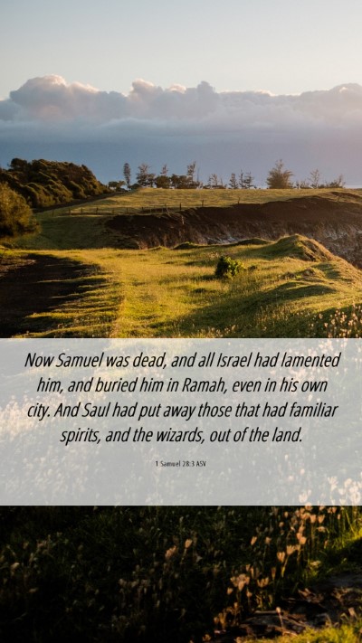 Picture 06 - 1 Samuel 28:3 ASV Mobile Phone Wallpaper - Now Samuel was dead, and all Israel had lamented - Mobile Bible Verse Wallpaper