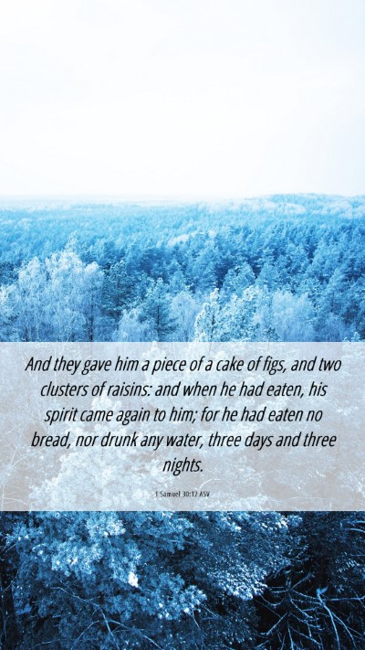 Picture 06 - 1 Samuel 30:12 ASV Mobile Phone Wallpaper - And they gave him a piece of a cake of figs, and - Mobile Bible Verse Wallpaper