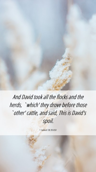 Picture 06 - 1 Samuel 30:20 ASV Mobile Phone Wallpaper - And David took all the flocks and the herds, - Mobile Bible Verse Wallpaper