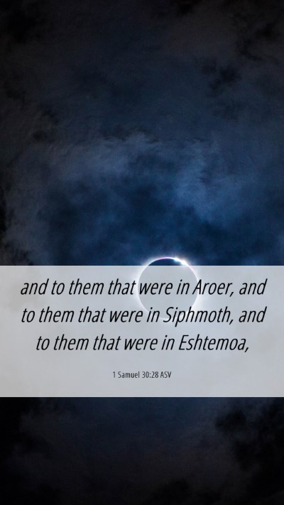 Picture 06 - 1 Samuel 30:28 ASV Mobile Phone Wallpaper - and to them that were in Aroer, and to them that - Mobile Bible Verse Wallpaper