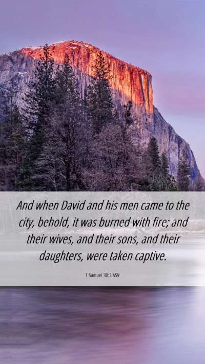 Picture 06 - 1 Samuel 30:3 ASV Mobile Phone Wallpaper - And when David and his men came to the city, - Mobile Bible Verse Wallpaper