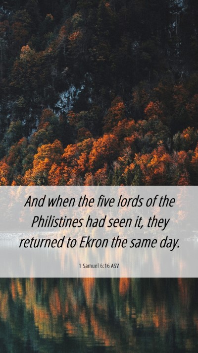 Picture 06 - 1 Samuel 6:16 ASV Mobile Phone Wallpaper - And when the five lords of the Philistines had - Mobile Bible Verse Wallpaper