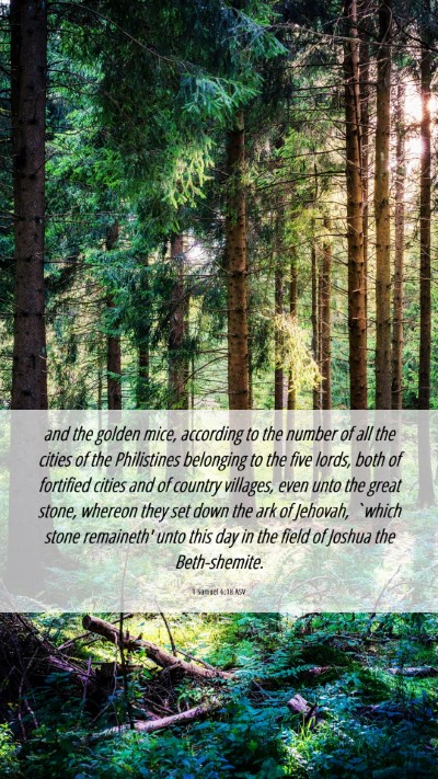 Picture 06 - 1 Samuel 6:18 ASV Mobile Phone Wallpaper - and the golden mice, according to the number of - Mobile Bible Verse Wallpaper