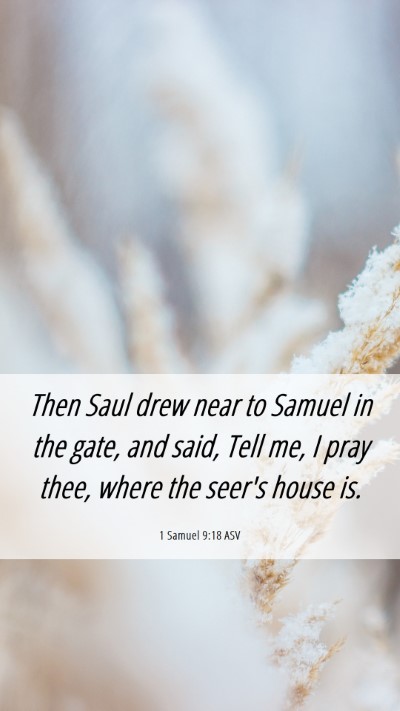 Picture 06 - 1 Samuel 9:18 ASV Mobile Phone Wallpaper - Then Saul drew near to Samuel in the gate, and - Mobile Bible Verse Wallpaper