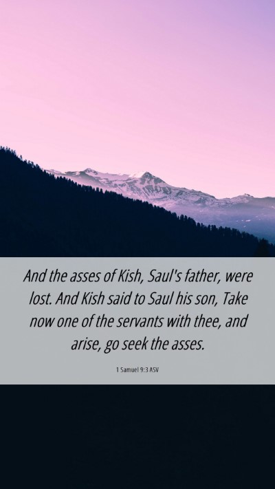 Picture 06 - 1 Samuel 9:3 ASV Mobile Phone Wallpaper - And the asses of Kish, Saul's father, were lost. - Mobile Bible Verse Wallpaper