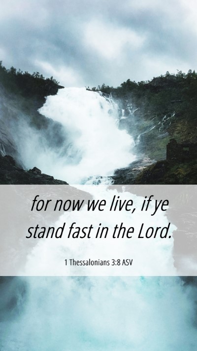 Picture 06 - 1 Thessalonians 3:8 ASV Mobile Phone Wallpaper - for now we live, if ye stand fast in the - Mobile Bible Verse Wallpaper