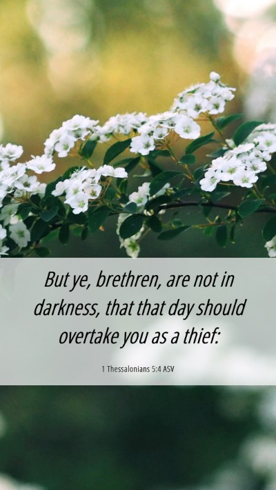 Picture 06 - 1 Thessalonians 5:4 ASV Mobile Phone Wallpaper - But ye, brethren, are not in darkness, that that - Mobile Bible Verse Wallpaper