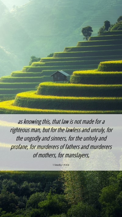 Picture 06 - 1 Timothy 1:9 ASV Mobile Phone Wallpaper - as knowing this, that law is not made for a - Mobile Bible Verse Wallpaper