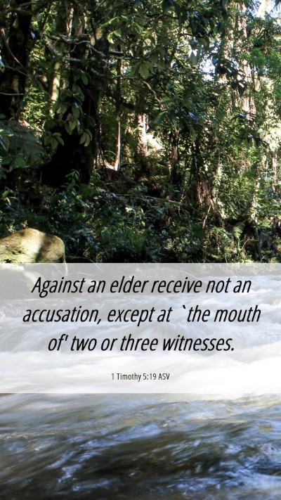 Picture 06 - 1 Timothy 5:19 ASV Mobile Phone Wallpaper - Against an elder receive not an accusation, - Mobile Bible Verse Wallpaper