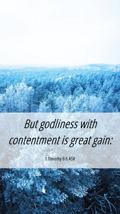 Picture 06 - 1 Timothy 6:6 ASV Mobile Phone Wallpaper - But godliness with contentment is great - Mobile Bible Verse Wallpaper