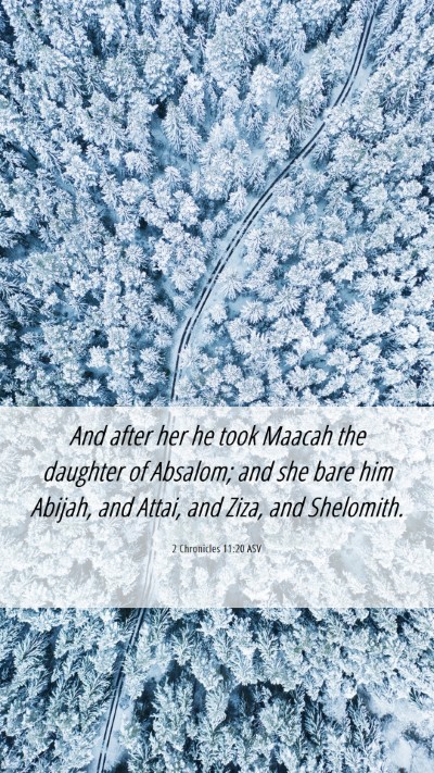 Picture 06 - 2 Chronicles 11:20 ASV Mobile Phone Wallpaper - And after her he took Maacah the daughter of - Mobile Bible Verse Wallpaper