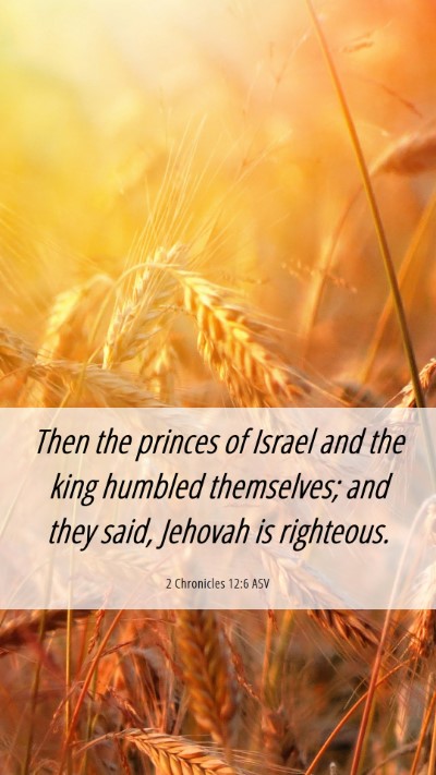 Picture 06 - 2 Chronicles 12:6 ASV Mobile Phone Wallpaper - Then the princes of Israel and the king humbled - Mobile Bible Verse Wallpaper