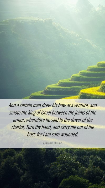 Picture 06 - 2 Chronicles 18:33 ASV Mobile Phone Wallpaper - And a certain man drew his bow at a venture, and - Mobile Bible Verse Wallpaper