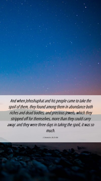 Picture 06 - 2 Chronicles 20:25 ASV Mobile Phone Wallpaper - And when Jehoshaphat and his people came to take - Mobile Bible Verse Wallpaper