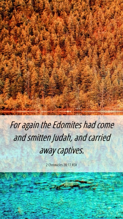 Picture 06 - 2 Chronicles 28:17 ASV Mobile Phone Wallpaper - For again the Edomites had come and smitten - Mobile Bible Verse Wallpaper