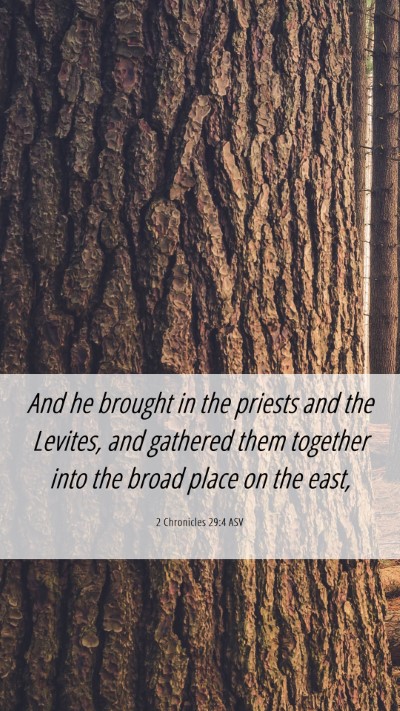 Picture 06 - 2 Chronicles 29:4 ASV Mobile Phone Wallpaper - And he brought in the priests and the Levites, - Mobile Bible Verse Wallpaper