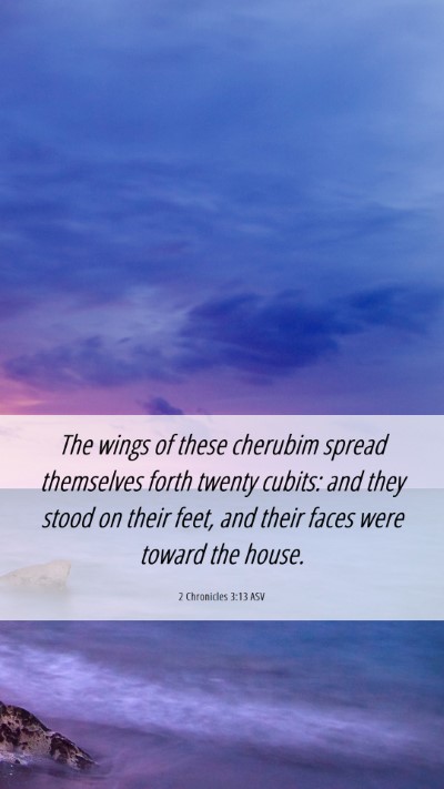 Picture 06 - 2 Chronicles 3:13 ASV Mobile Phone Wallpaper - The wings of these cherubim spread themselves - Mobile Bible Verse Wallpaper