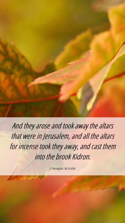 Picture 06 - 2 Chronicles 30:14 ASV Mobile Phone Wallpaper - And they arose and took away the altars that were - Mobile Bible Verse Wallpaper
