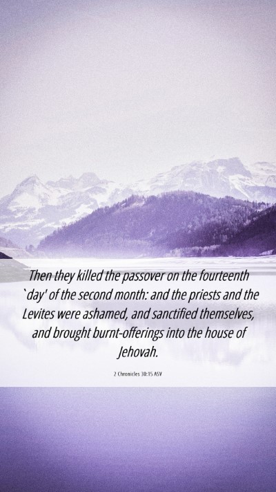 Picture 06 - 2 Chronicles 30:15 ASV Mobile Phone Wallpaper - Then they killed the passover on the fourteenth - Mobile Bible Verse Wallpaper