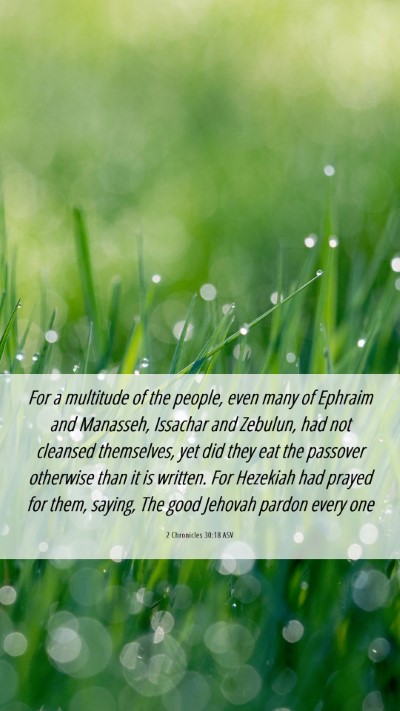 Picture 06 - 2 Chronicles 30:18 ASV Mobile Phone Wallpaper - For a multitude of the people, even many of - Mobile Bible Verse Wallpaper
