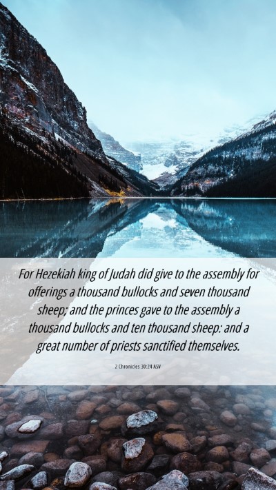 Picture 06 - 2 Chronicles 30:24 ASV Mobile Phone Wallpaper - For Hezekiah king of Judah did give to the - Mobile Bible Verse Wallpaper