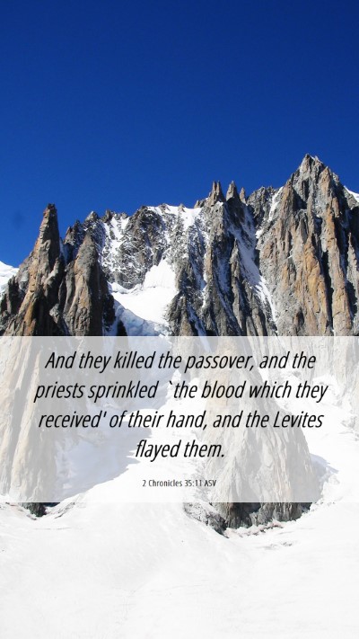 Picture 06 - 2 Chronicles 35:11 ASV Mobile Phone Wallpaper - And they killed the passover, and the priests - Mobile Bible Verse Wallpaper