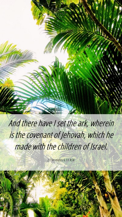 Picture 06 - 2 Chronicles 6:11 ASV Mobile Phone Wallpaper - And there have I set the ark, wherein is the - Mobile Bible Verse Wallpaper