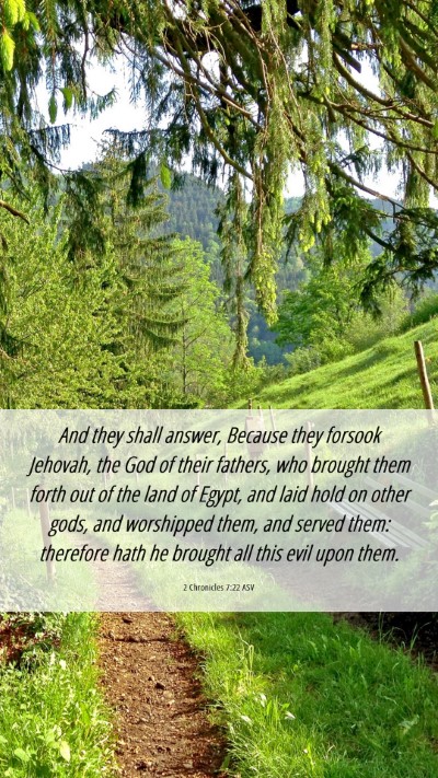 Picture 06 - 2 Chronicles 7:22 ASV Mobile Phone Wallpaper - And they shall answer, Because they forsook - Mobile Bible Verse Wallpaper