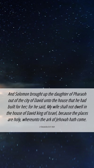 Picture 06 - 2 Chronicles 8:11 ASV Mobile Phone Wallpaper - And Solomon brought up the daughter of Pharaoh - Mobile Bible Verse Wallpaper