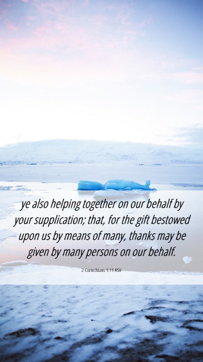Picture 06 - 2 Corinthians 1:11 ASV Mobile Phone Wallpaper - ye also helping together on our behalf by your - Mobile Bible Verse Wallpaper