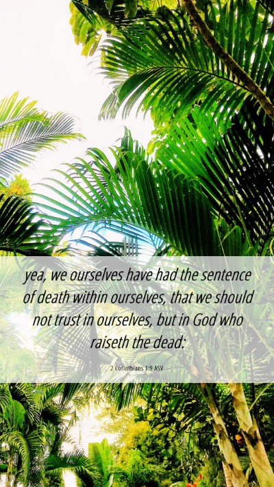 Picture 06 - 2 Corinthians 1:9 ASV Mobile Phone Wallpaper - yea, we ourselves have had the sentence of death - Mobile Bible Verse Wallpaper