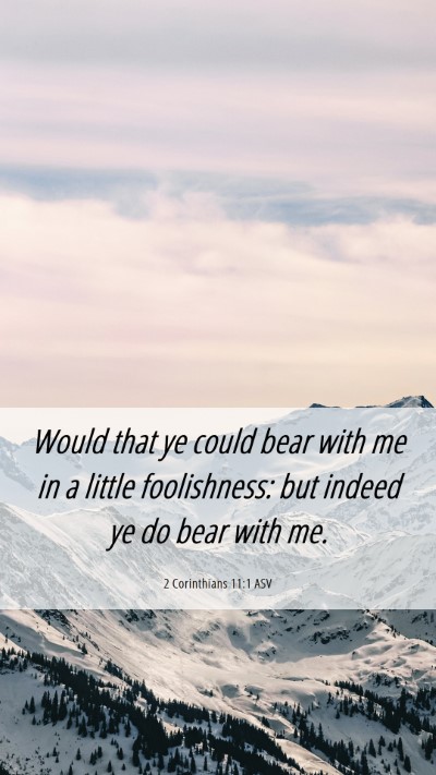Picture 06 - 2 Corinthians 11:1 ASV Mobile Phone Wallpaper - Would that ye could bear with me in a little - Mobile Bible Verse Wallpaper