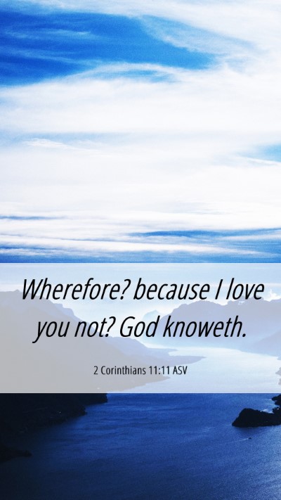 Picture 06 - 2 Corinthians 11:11 ASV Mobile Phone Wallpaper - Wherefore? because I love you not? God - Mobile Bible Verse Wallpaper