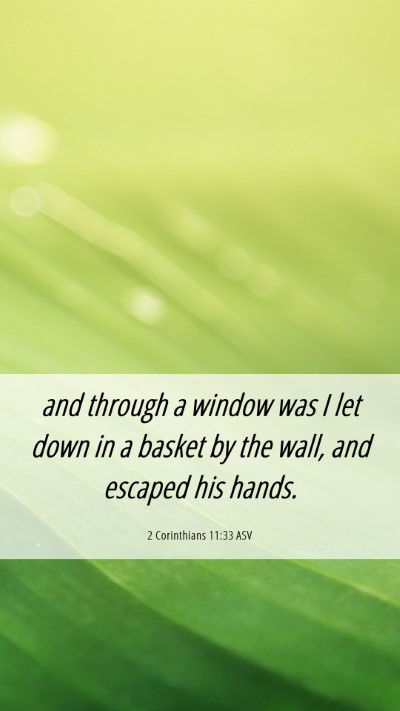 Picture 06 - 2 Corinthians 11:33 ASV Mobile Phone Wallpaper - and through a window was I let down in a basket - Mobile Bible Verse Wallpaper