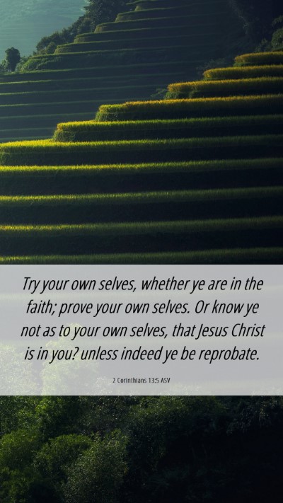 Picture 06 - 2 Corinthians 13:5 ASV Mobile Phone Wallpaper - Try your own selves, whether ye are in the faith; - Mobile Bible Verse Wallpaper