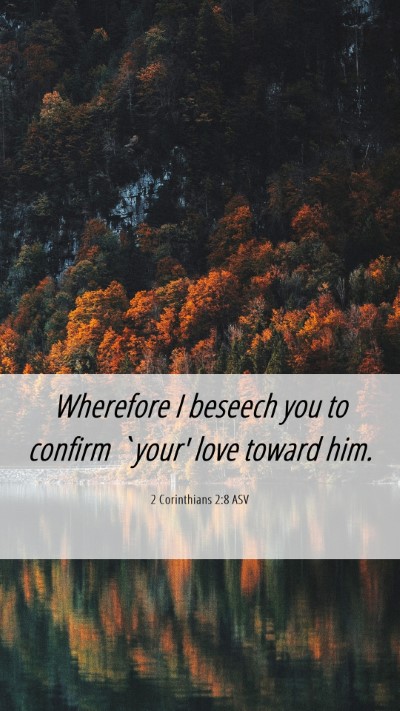 Picture 06 - 2 Corinthians 2:8 ASV Mobile Phone Wallpaper - Wherefore I beseech you to confirm `your' love - Mobile Bible Verse Wallpaper