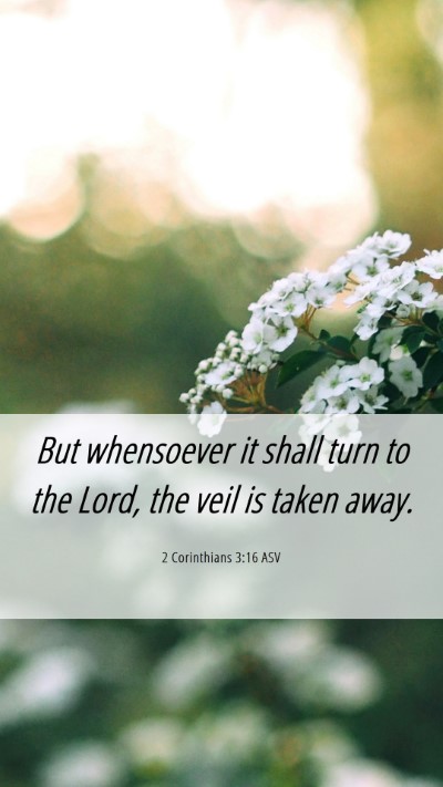 Picture 06 - 2 Corinthians 3:16 ASV Mobile Phone Wallpaper - But whensoever it shall turn to the Lord, the - Mobile Bible Verse Wallpaper