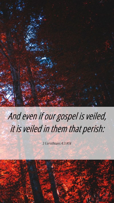 Picture 06 - 2 Corinthians 4:3 ASV Mobile Phone Wallpaper - And even if our gospel is veiled, it is veiled in - Mobile Bible Verse Wallpaper
