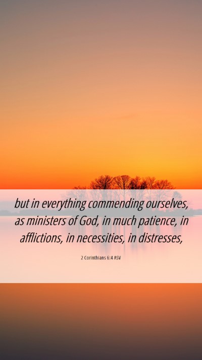Picture 06 - 2 Corinthians 6:4 ASV Mobile Phone Wallpaper - but in everything commending ourselves, as - Mobile Bible Verse Wallpaper