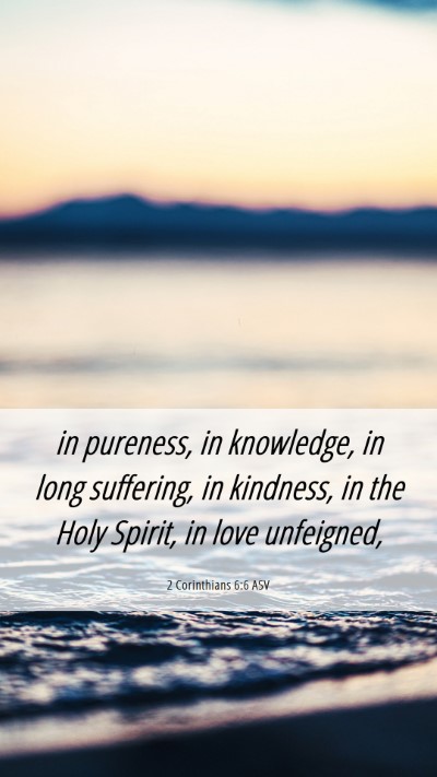 Picture 06 - 2 Corinthians 6:6 ASV Mobile Phone Wallpaper - in pureness, in knowledge, in long suffering, in - Mobile Bible Verse Wallpaper