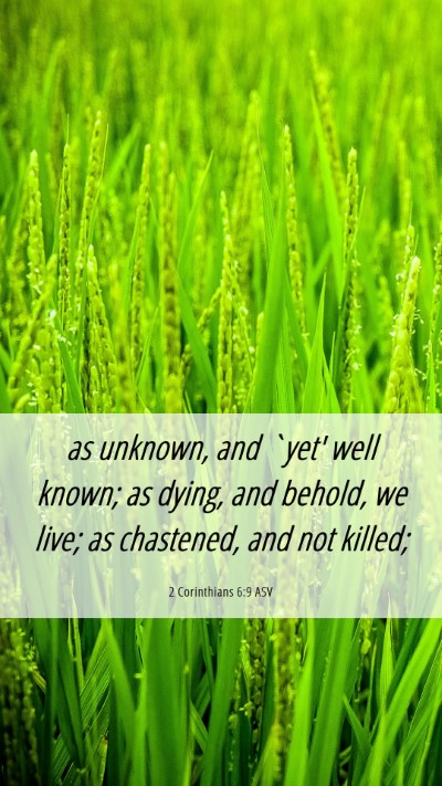 Picture 06 - 2 Corinthians 6:9 ASV Mobile Phone Wallpaper - as unknown, and `yet' well known; as dying, and - Mobile Bible Verse Wallpaper