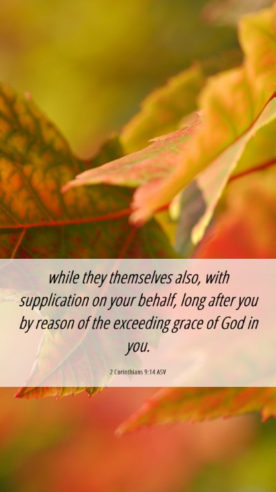Picture 06 - 2 Corinthians 9:14 ASV Mobile Phone Wallpaper - while they themselves also, with supplication on - Mobile Bible Verse Wallpaper